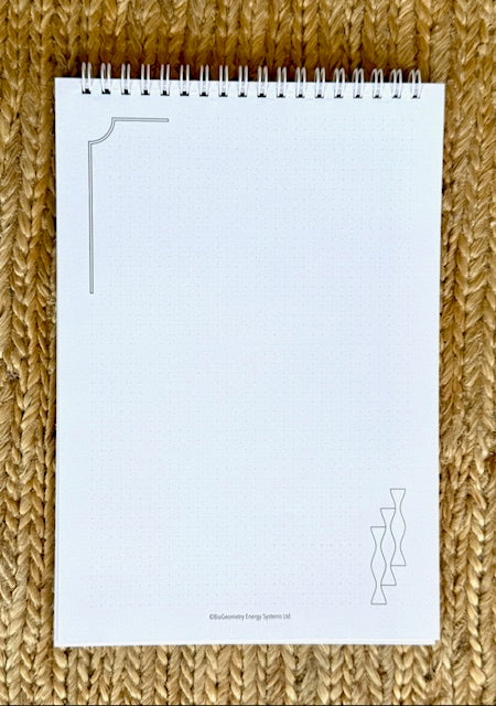 Zestaw 3 Notesów BioGeometry